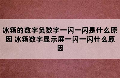 冰箱的数字负数字一闪一闪是什么原因 冰箱数字显示屏一闪一闪什么原因